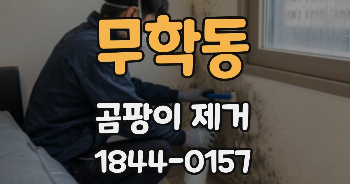 무학동 곰팡이 제거