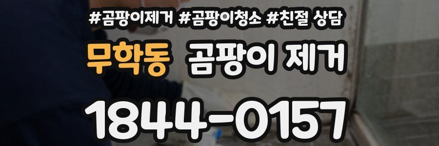 무학동 곰팡이 제거