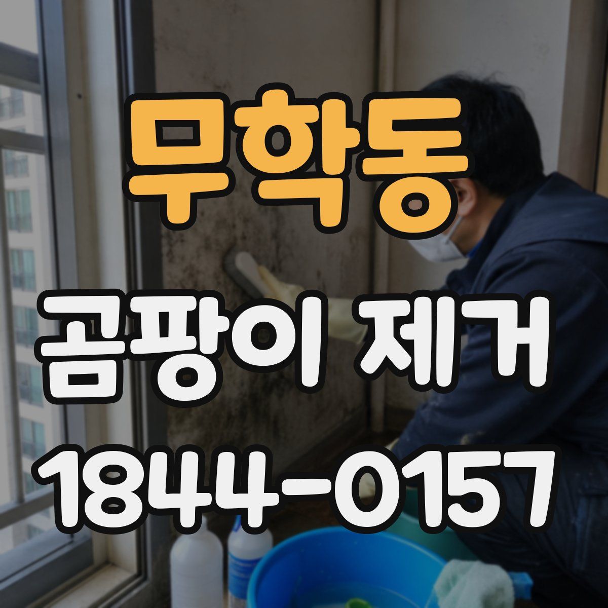 무학동 곰팡이 제거