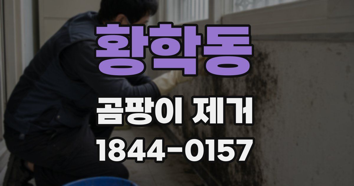 황학동 곰팡이 제거