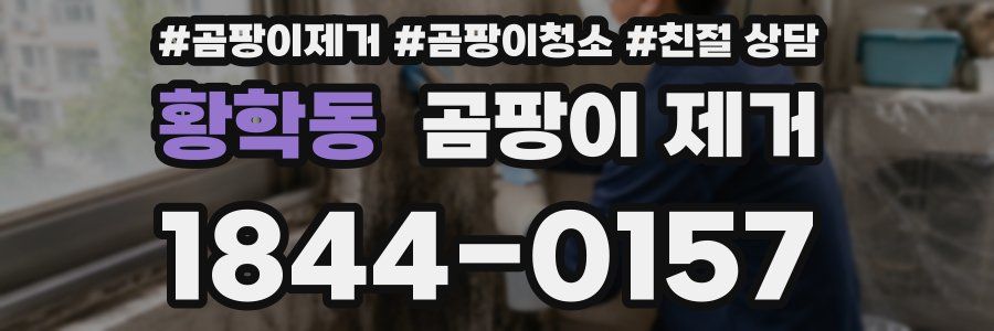 황학동 곰팡이 제거