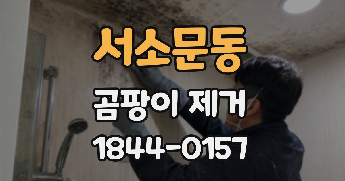 서소문동 곰팡이 제거