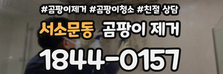 서소문동 곰팡이 제거