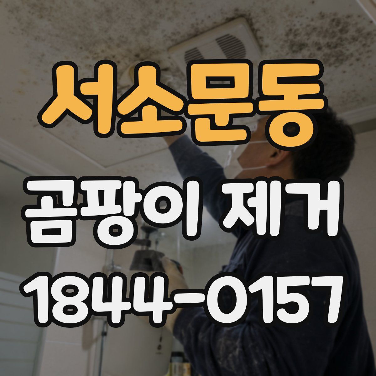서소문동 곰팡이 제거