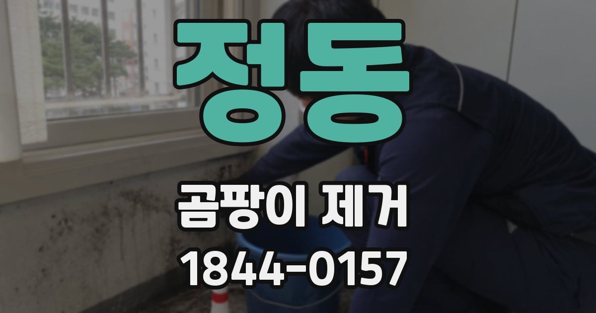 정동 곰팡이 제거