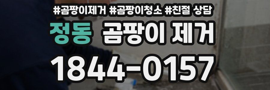 정동 곰팡이 제거