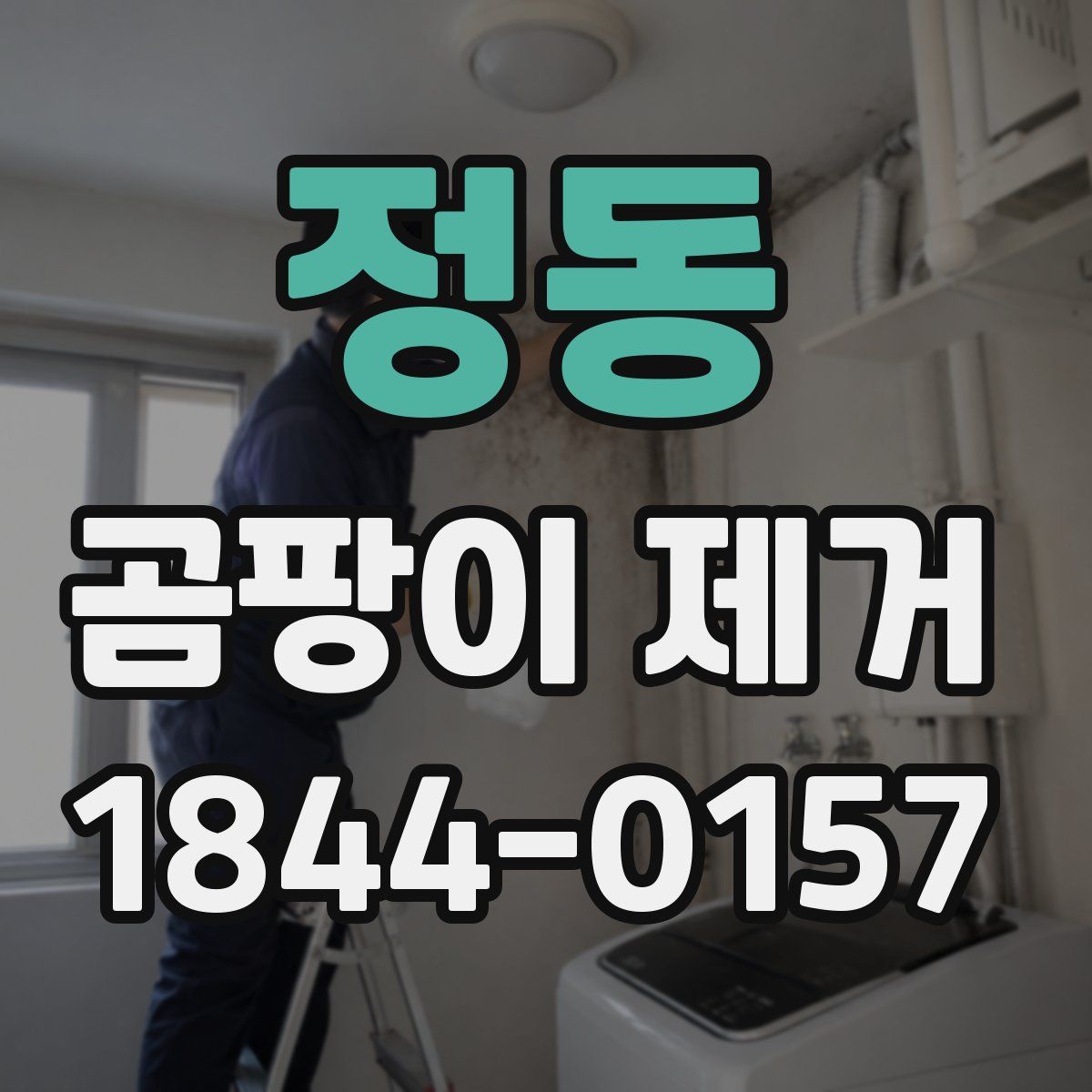 정동 곰팡이 제거