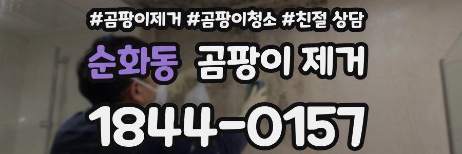 순화동 곰팡이 제거