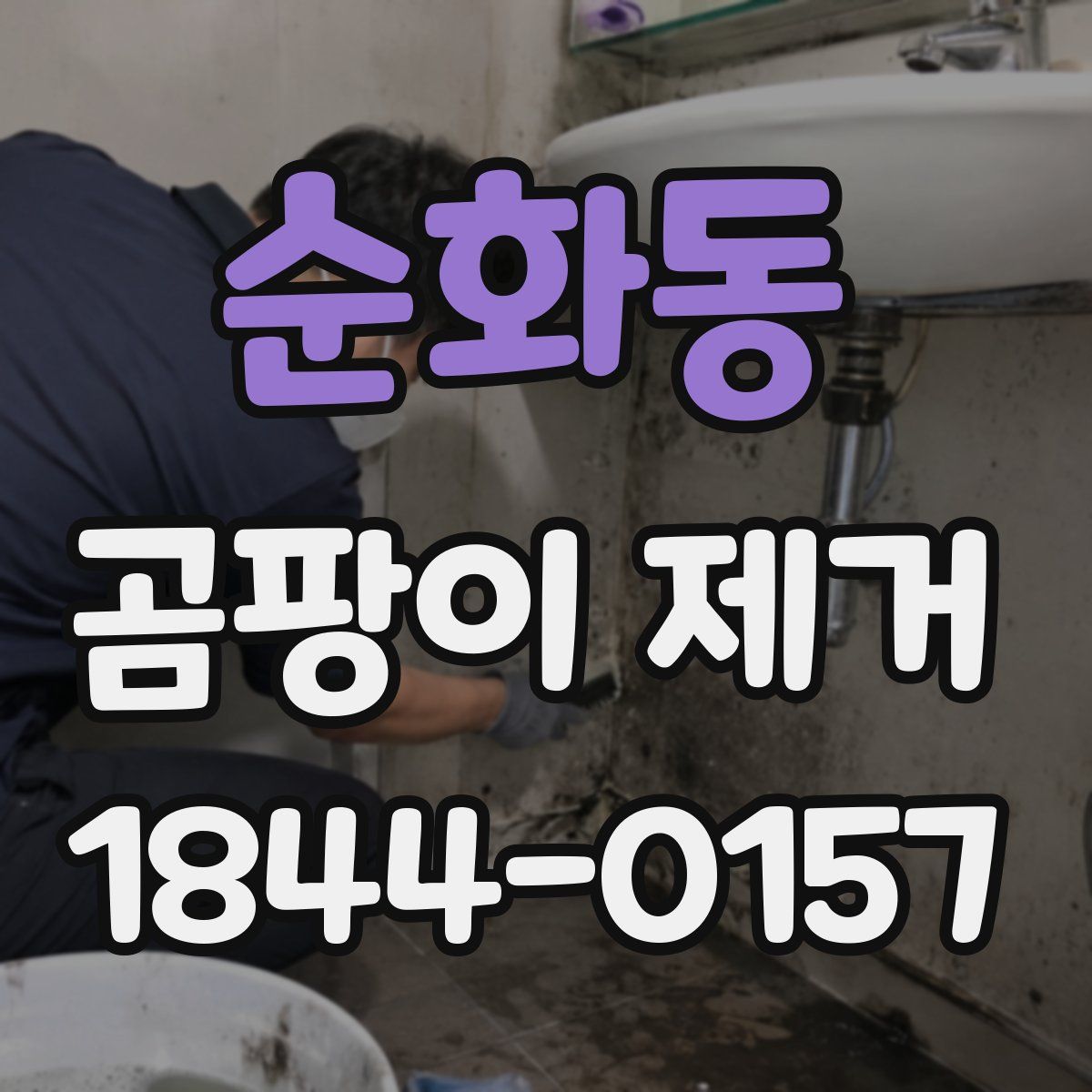 순화동 곰팡이 제거