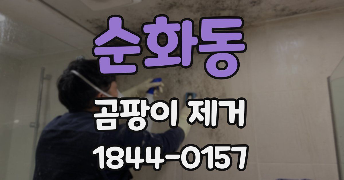 순화동 곰팡이 제거