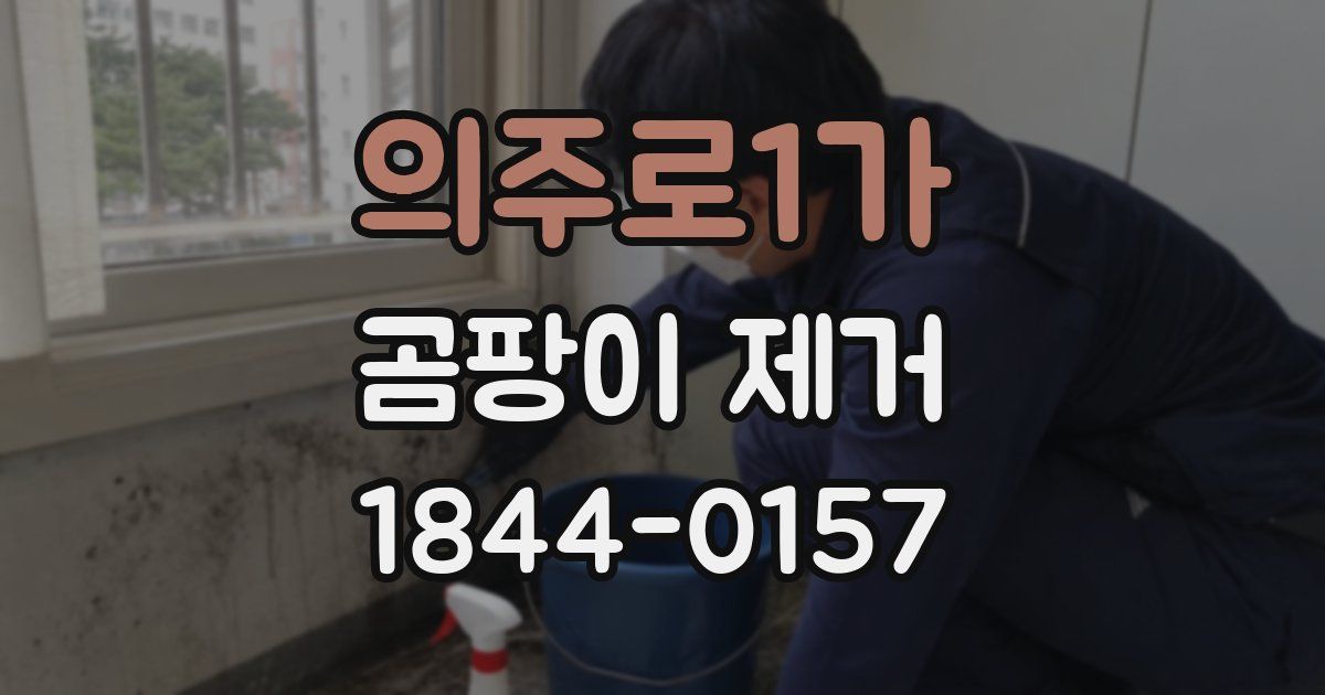 의주로1가 곰팡이 제거