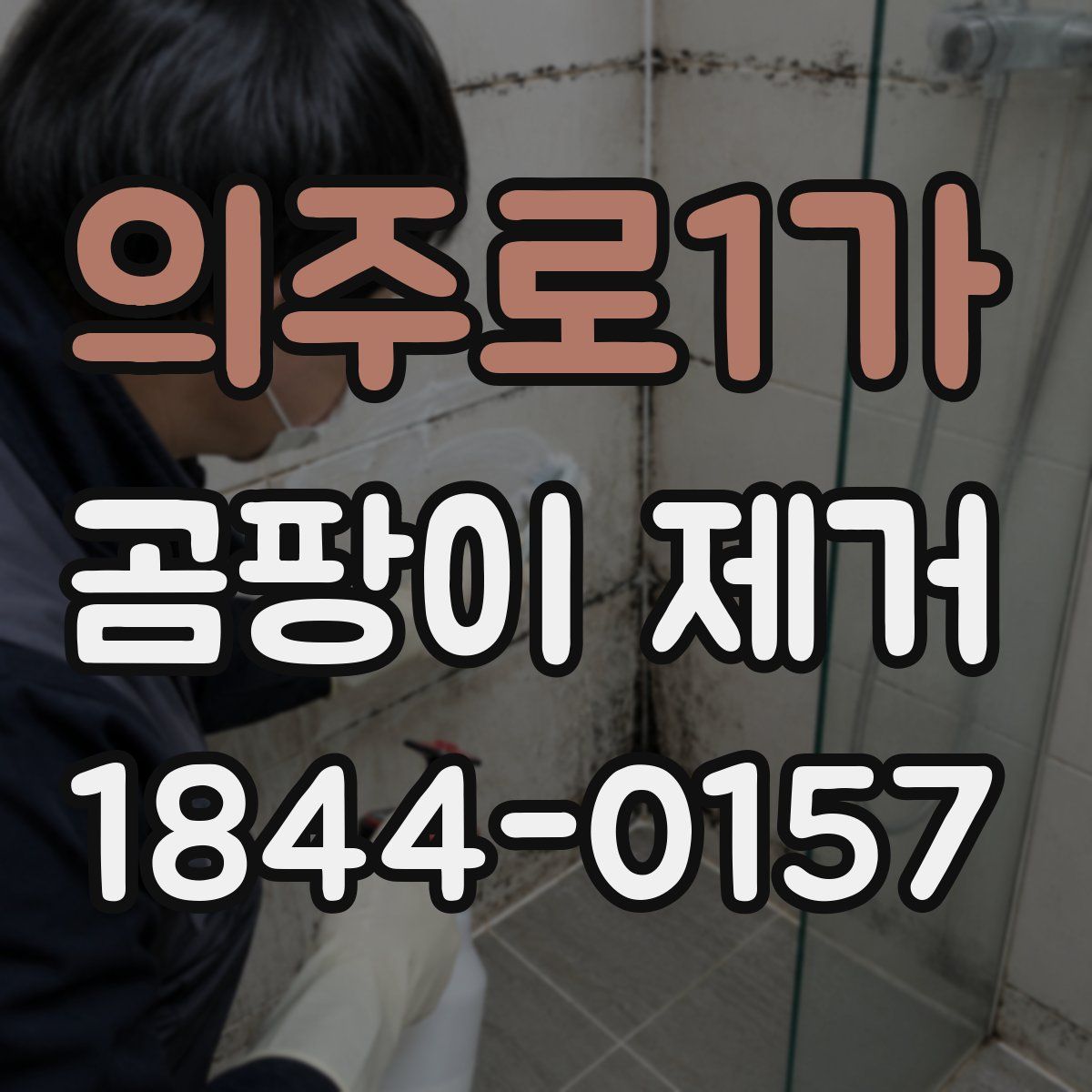 의주로1가 곰팡이 제거