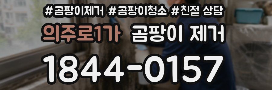 의주로1가 곰팡이 제거