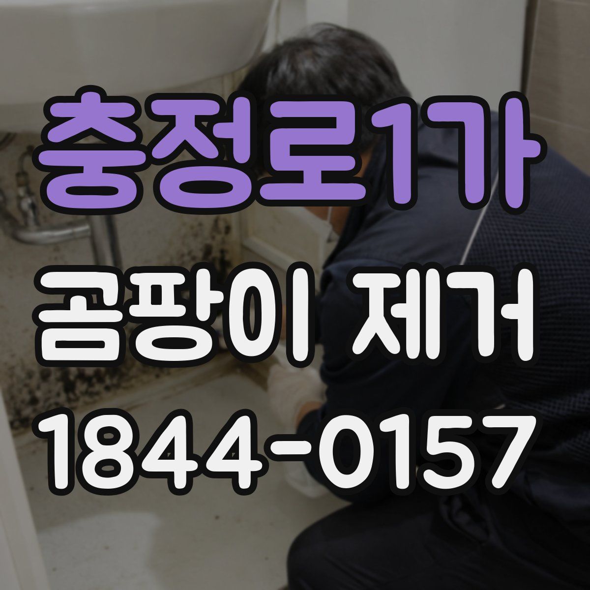 충정로1가 곰팡이 제거
