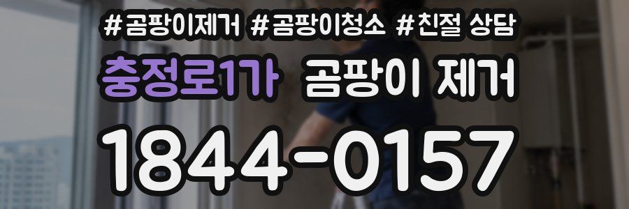 충정로1가 곰팡이 제거