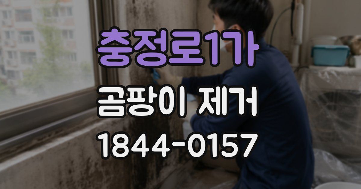 충정로1가 곰팡이 제거