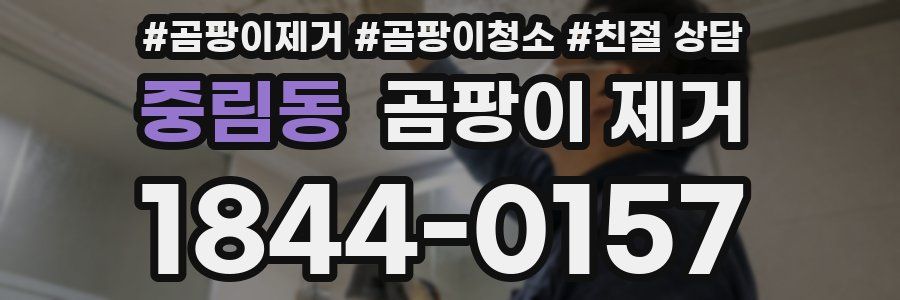 중림동 곰팡이 제거