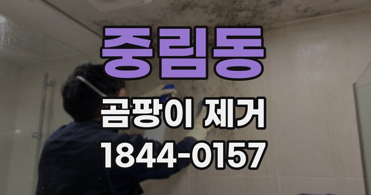 중림동 곰팡이 제거