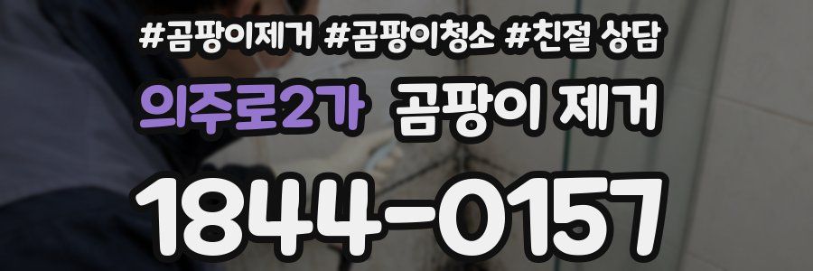 의주로2가 곰팡이 제거