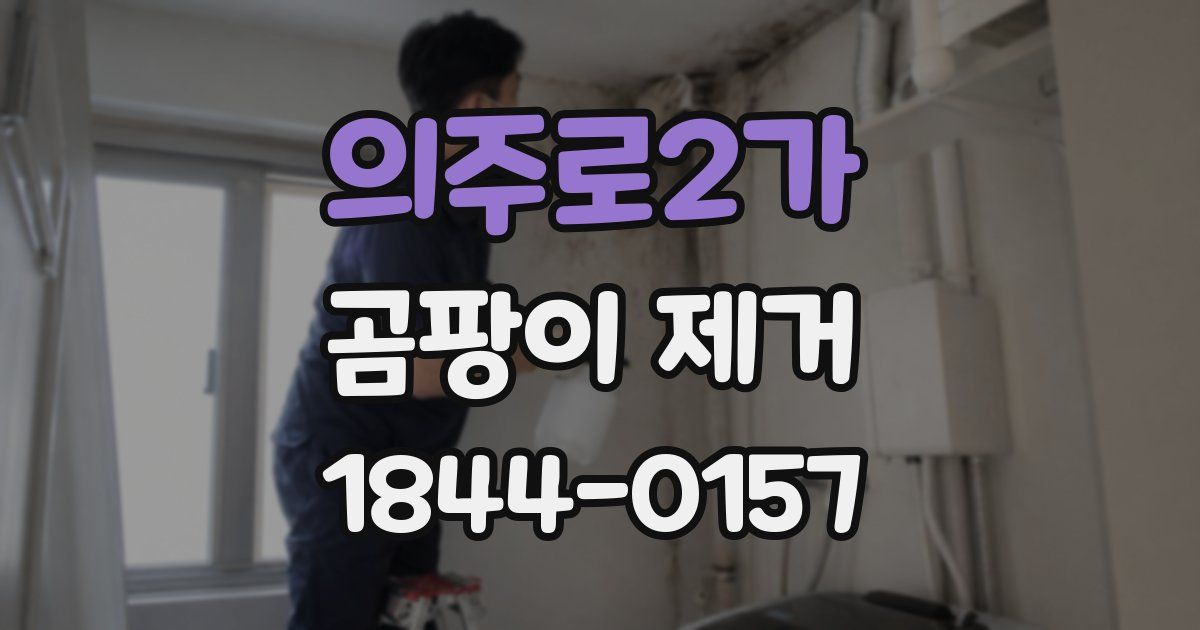의주로2가 곰팡이 제거