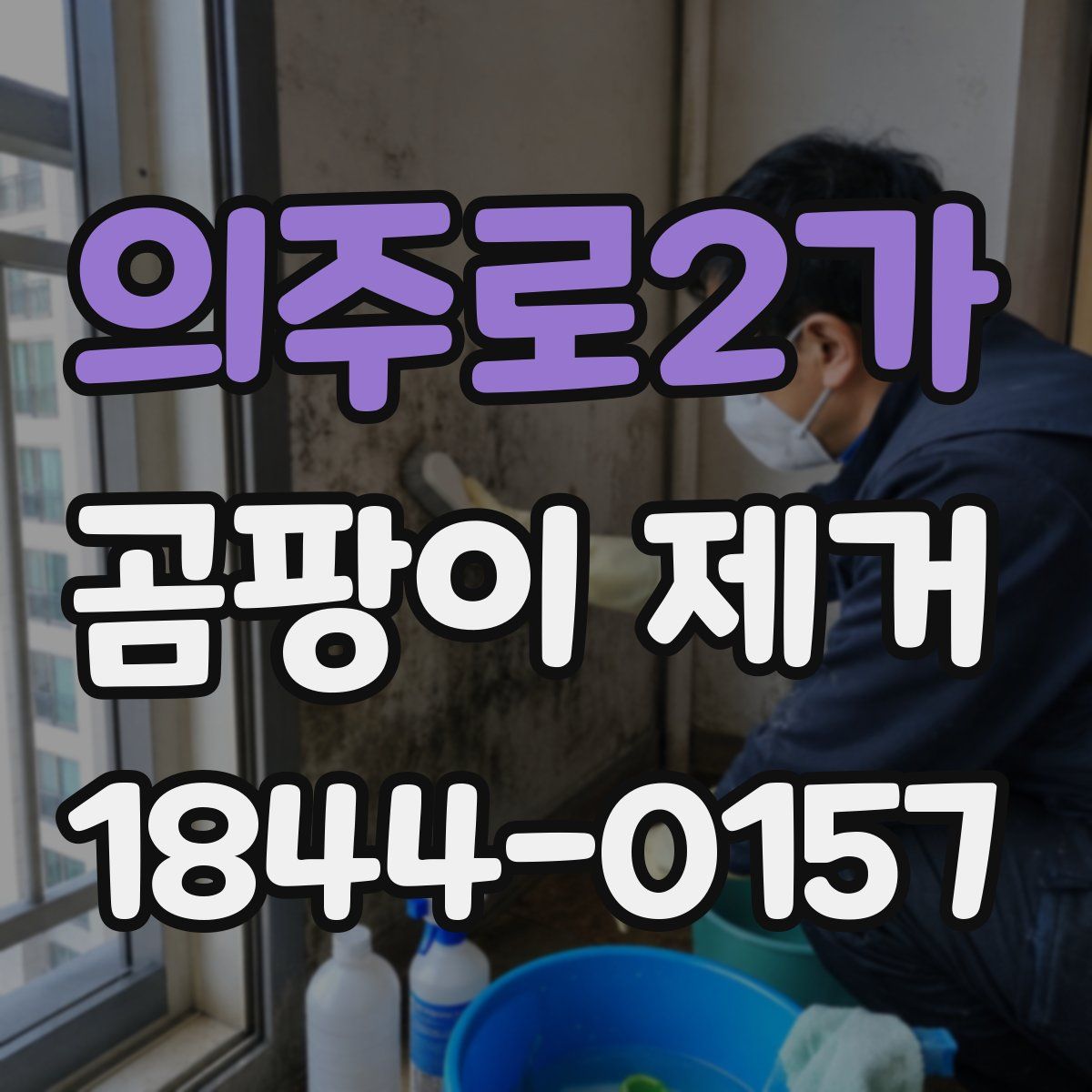 의주로2가 곰팡이 제거