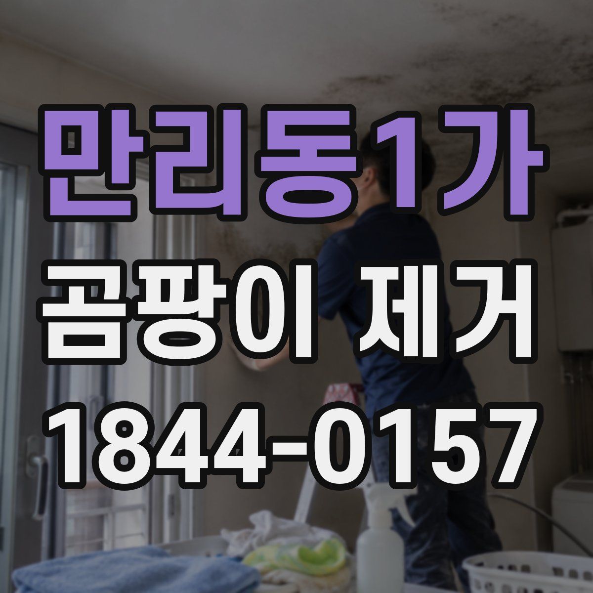 만리동1가 곰팡이 제거