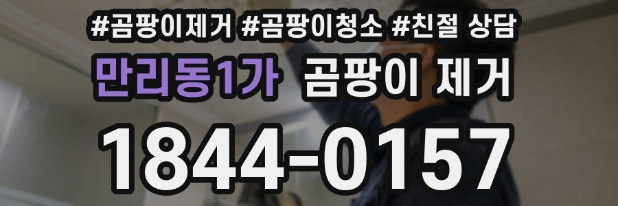 만리동1가 곰팡이 제거