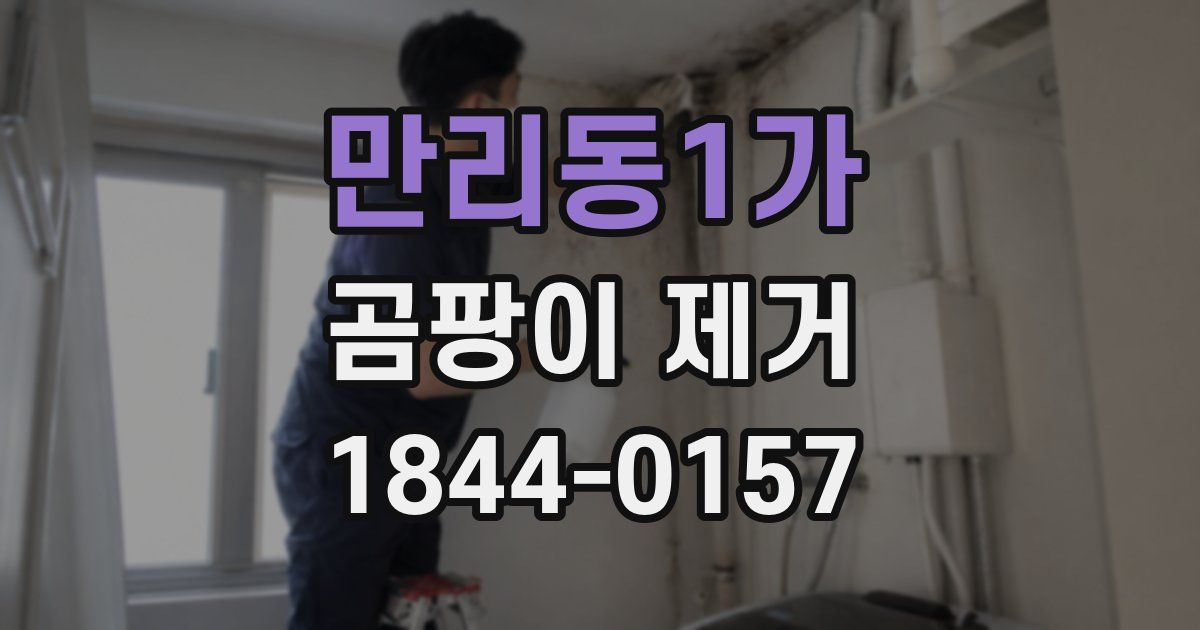 만리동1가 곰팡이 제거