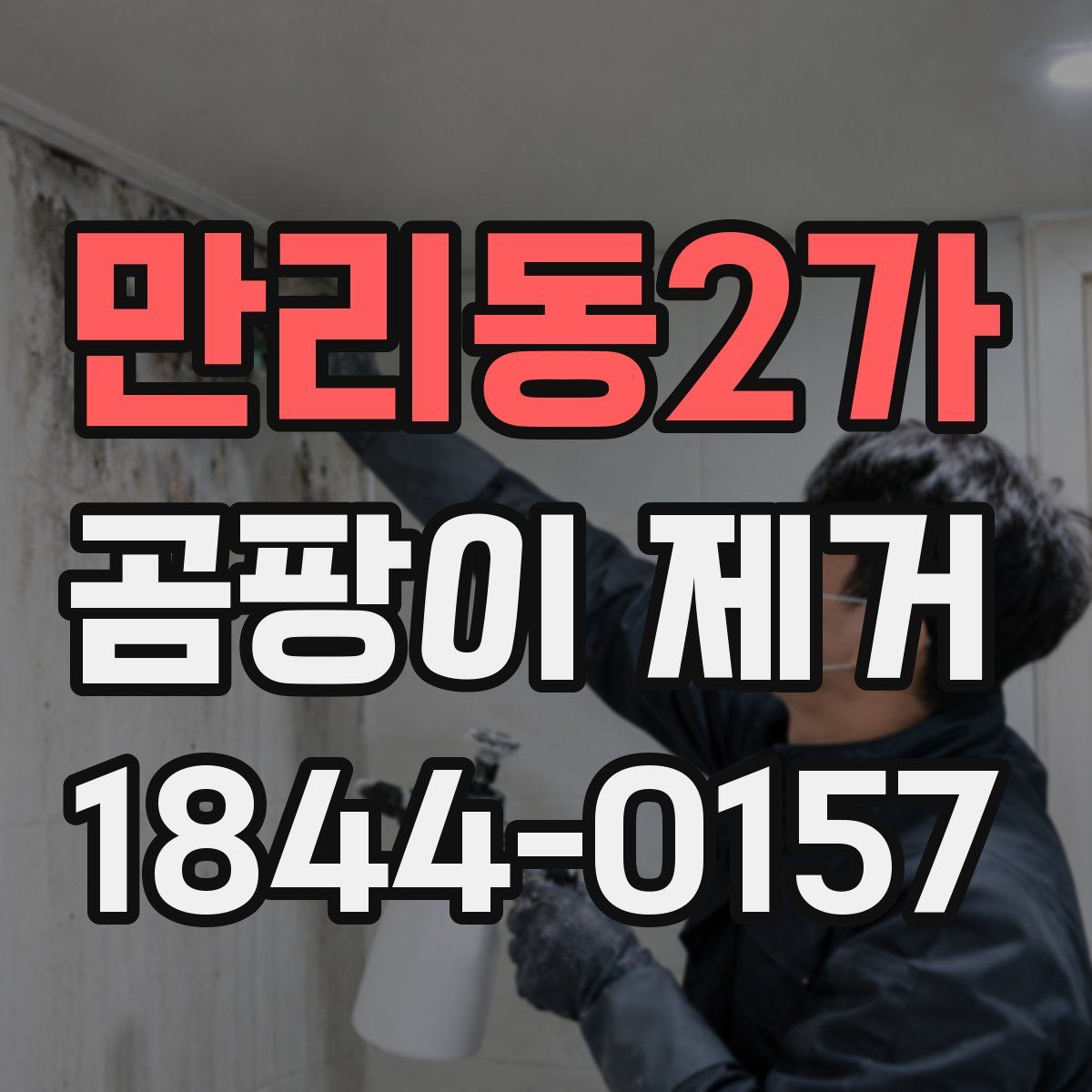 만리동2가 곰팡이 제거