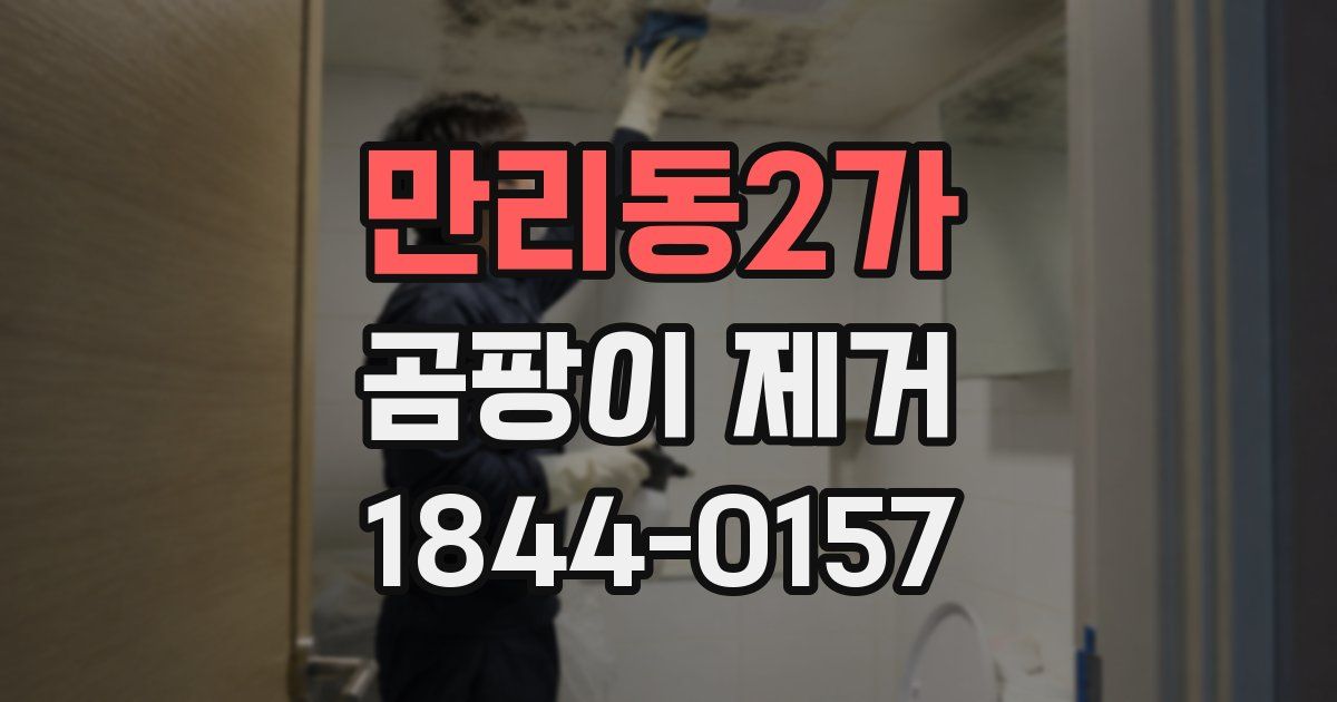 만리동2가 곰팡이 제거
