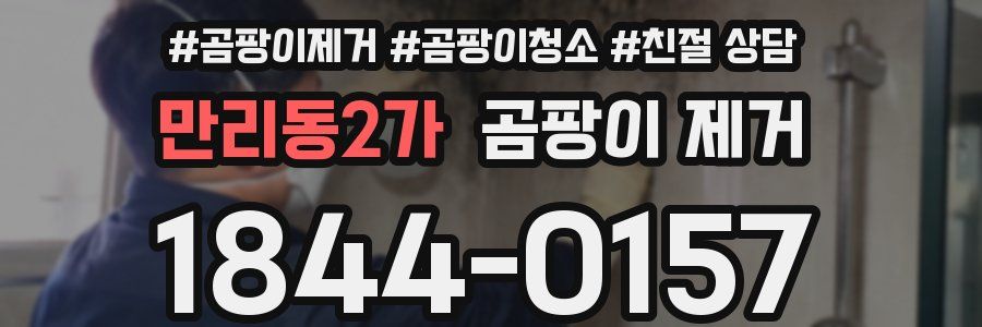 만리동2가 곰팡이 제거