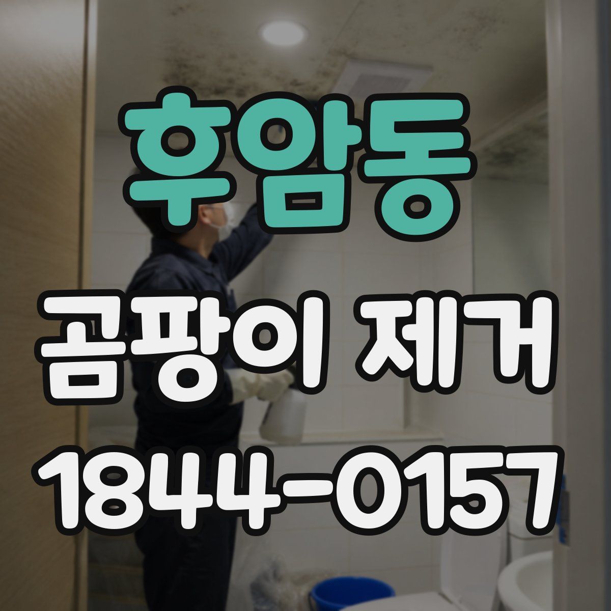 후암동 곰팡이 제거