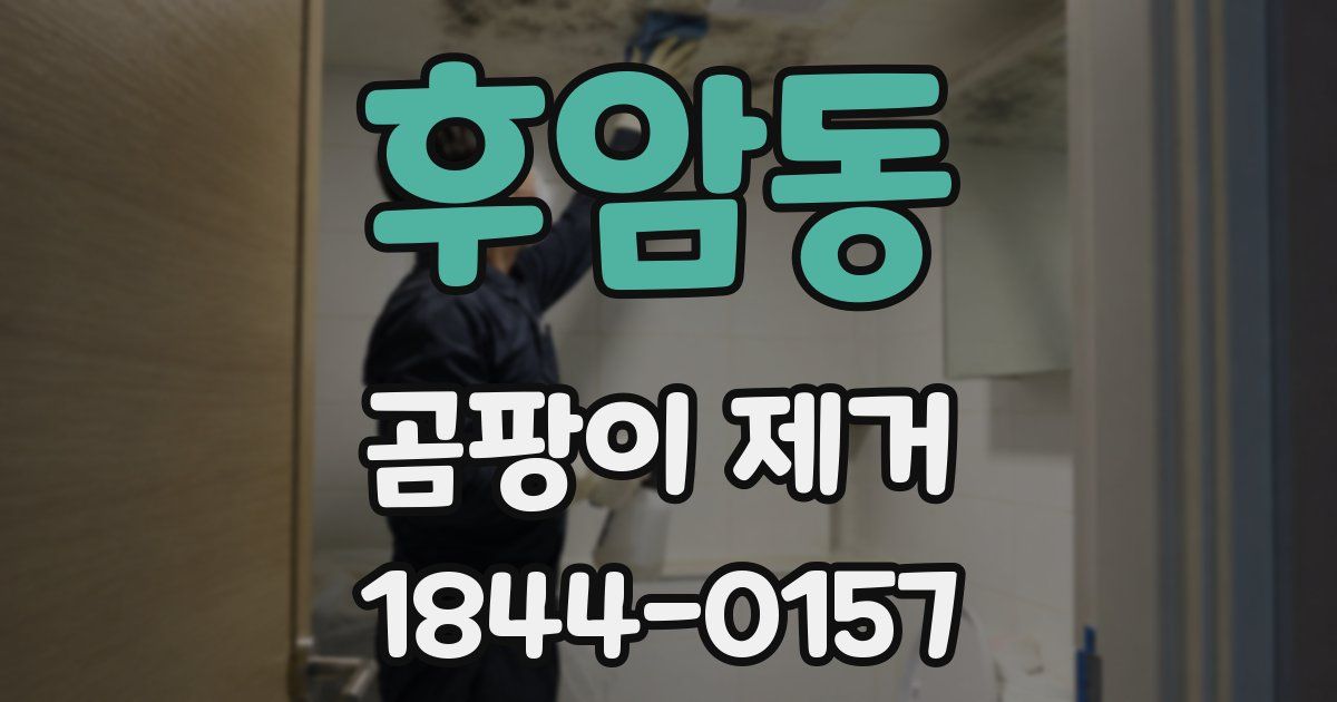 후암동 곰팡이 제거
