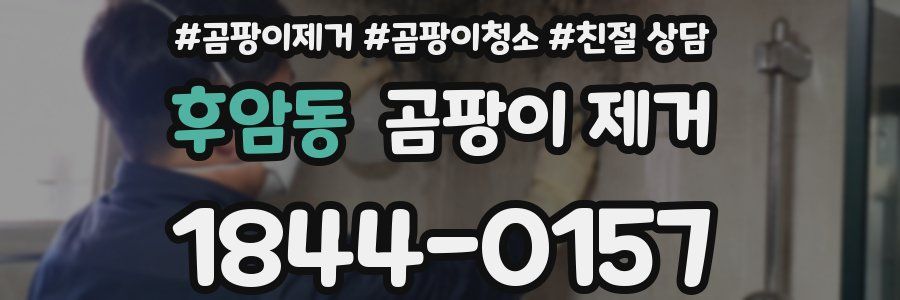 후암동 곰팡이 제거