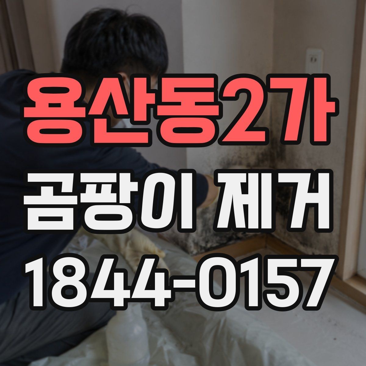 용산동2가 곰팡이 제거 셀프로 할 때 주의할 사항