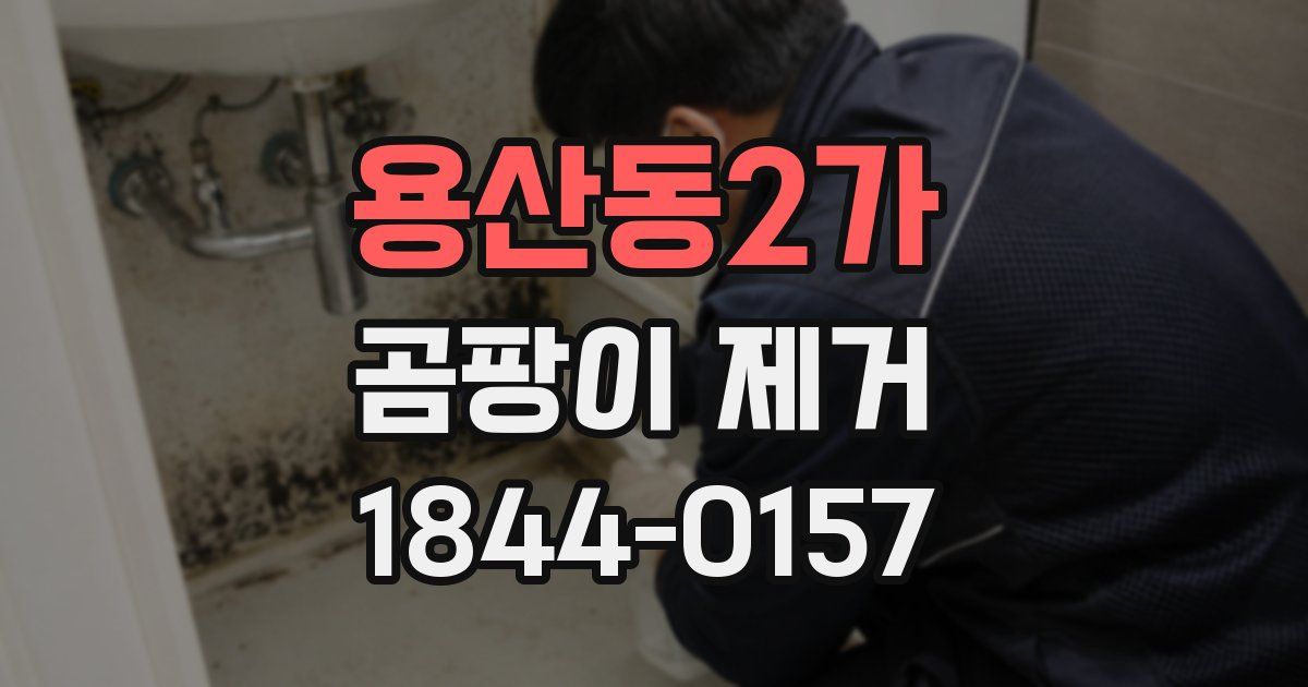용산동2가 곰팡이 제거