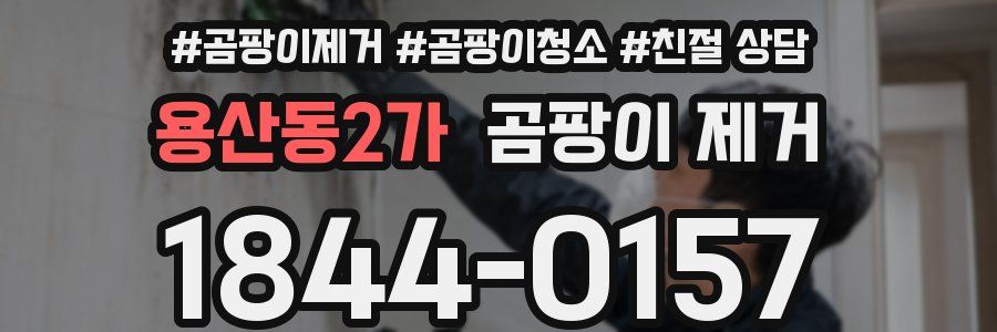 용산동2가 곰팡이 제거
