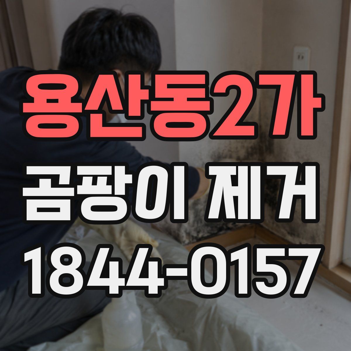 용산동2가 곰팡이 제거