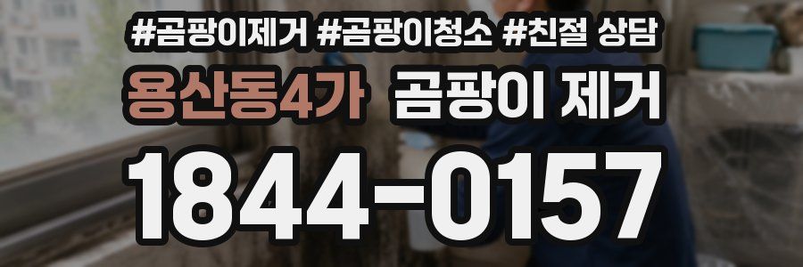 용산동4가 곰팡이 제거