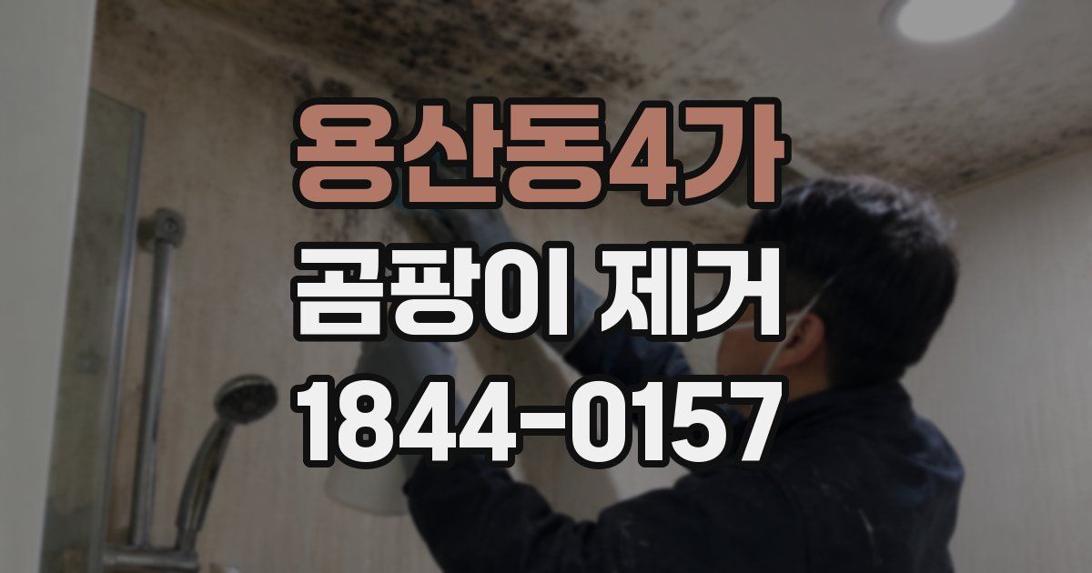 용산동4가 곰팡이 제거