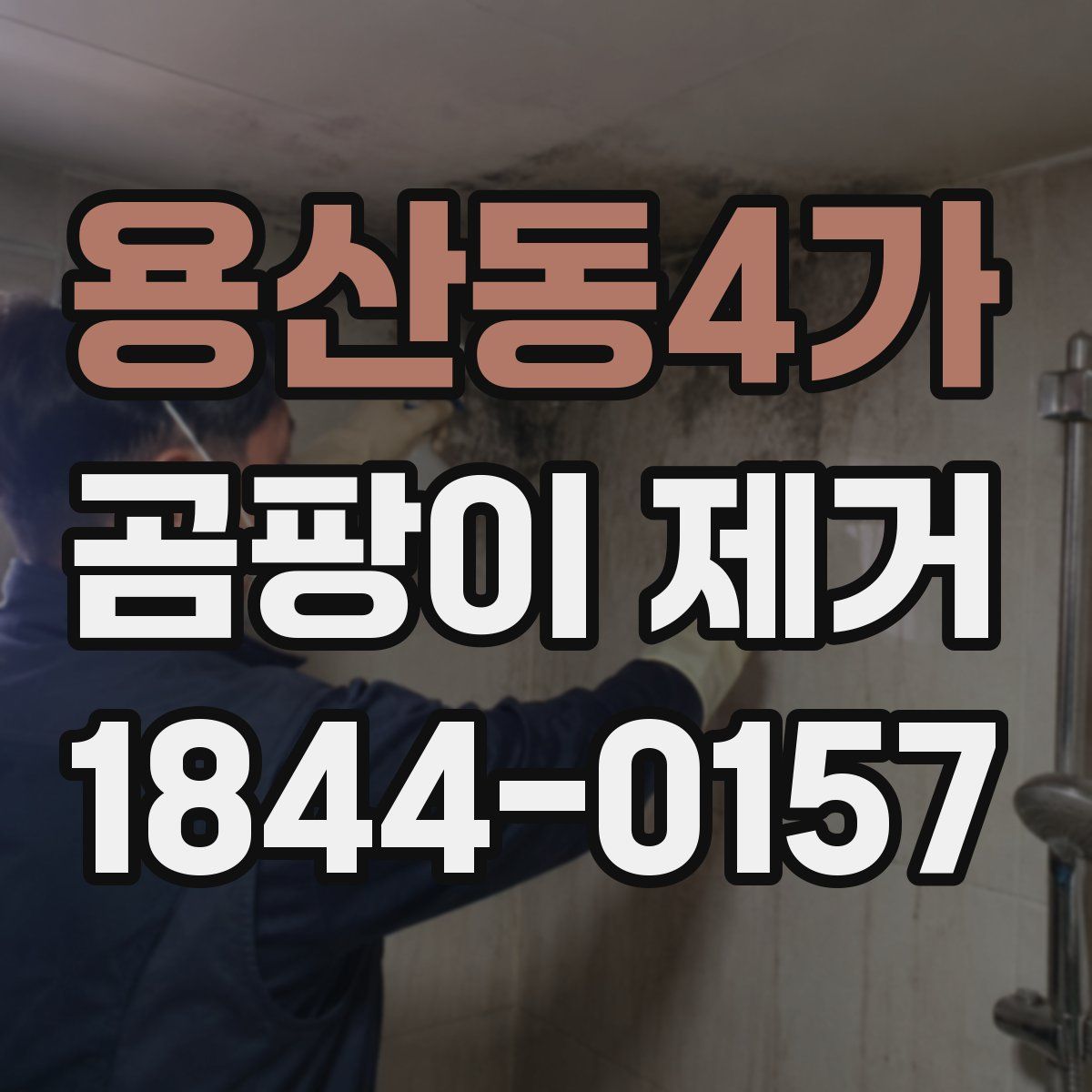 용산동4가 곰팡이 제거