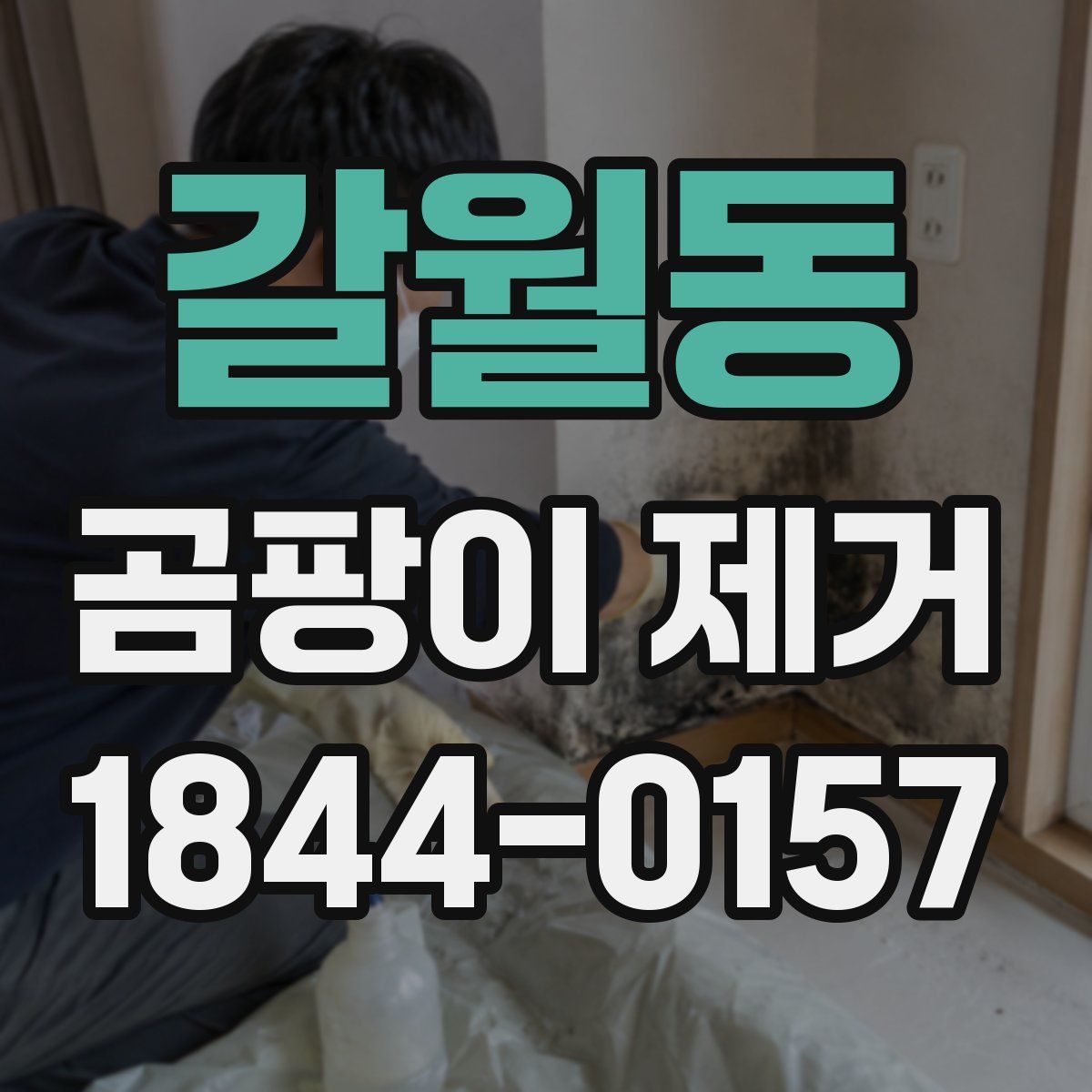 갈월동 곰팡이 제거