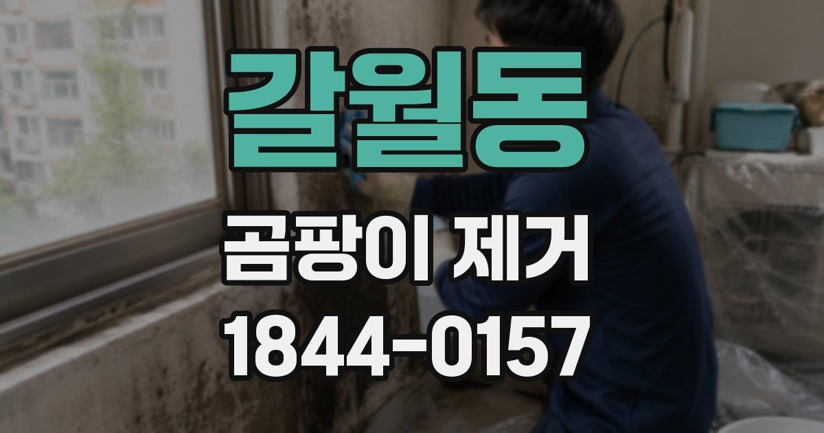 갈월동 곰팡이 제거