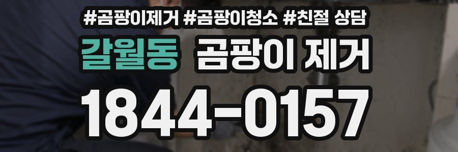 갈월동 곰팡이 제거