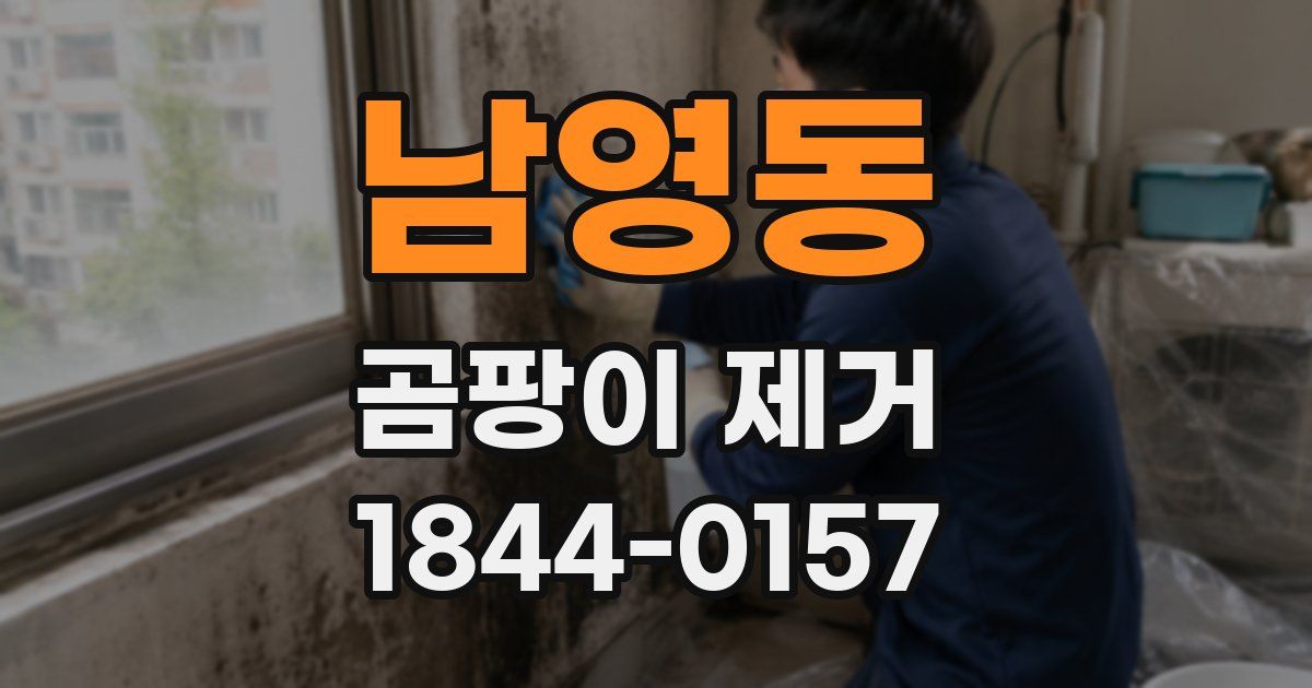 남영동 곰팡이 제거