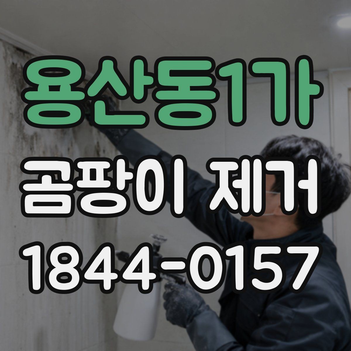 용산동1가 곰팡이 제거 상담 전에 알아두면 좋은 기준