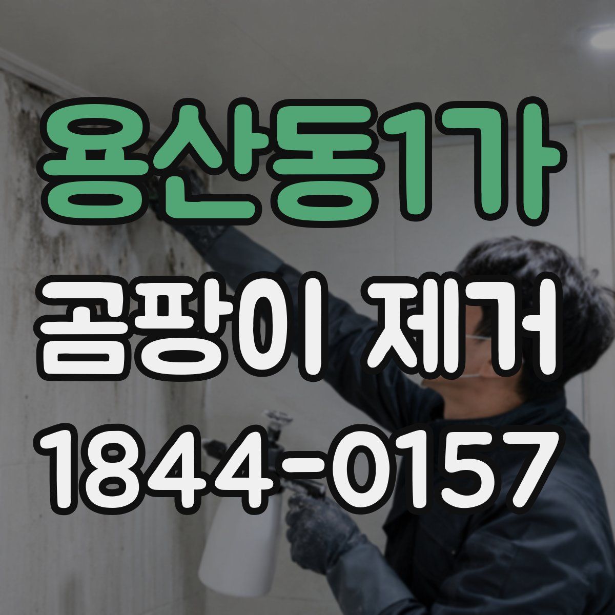용산동1가 곰팡이 제거