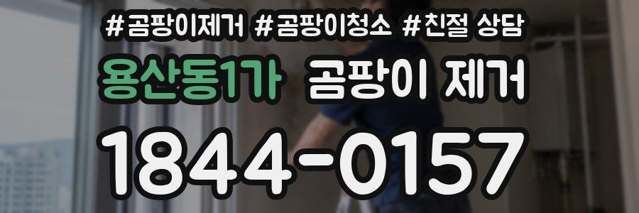 용산동1가 곰팡이 제거