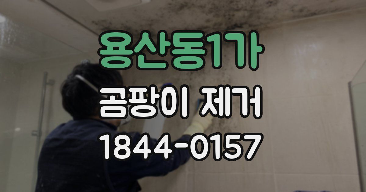 용산동1가 곰팡이 제거