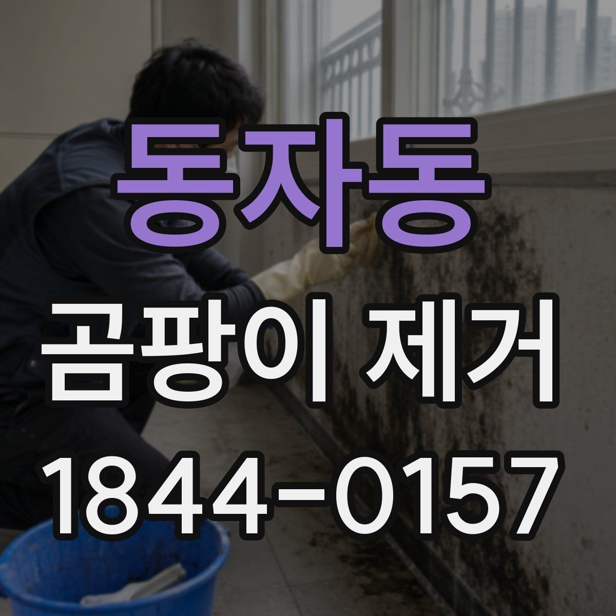 동자동 곰팡이 제거 재료 선택에 따라 달라지는 결과